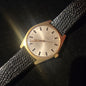 1972 OMEGA Genève w/ papers